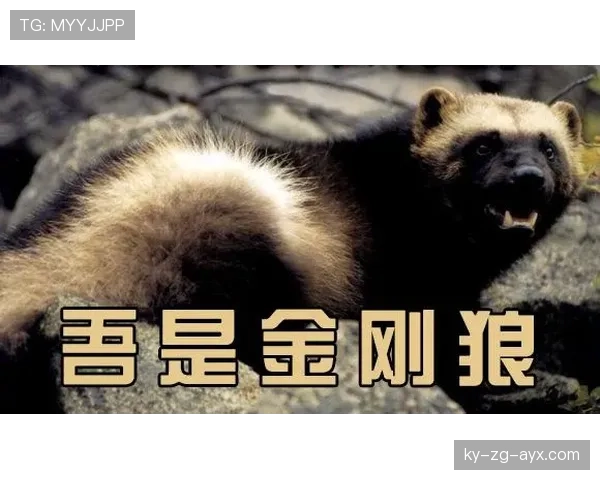 输出爆表无人能挡 输出爆表无人能挡